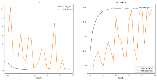 CATANIST model training results