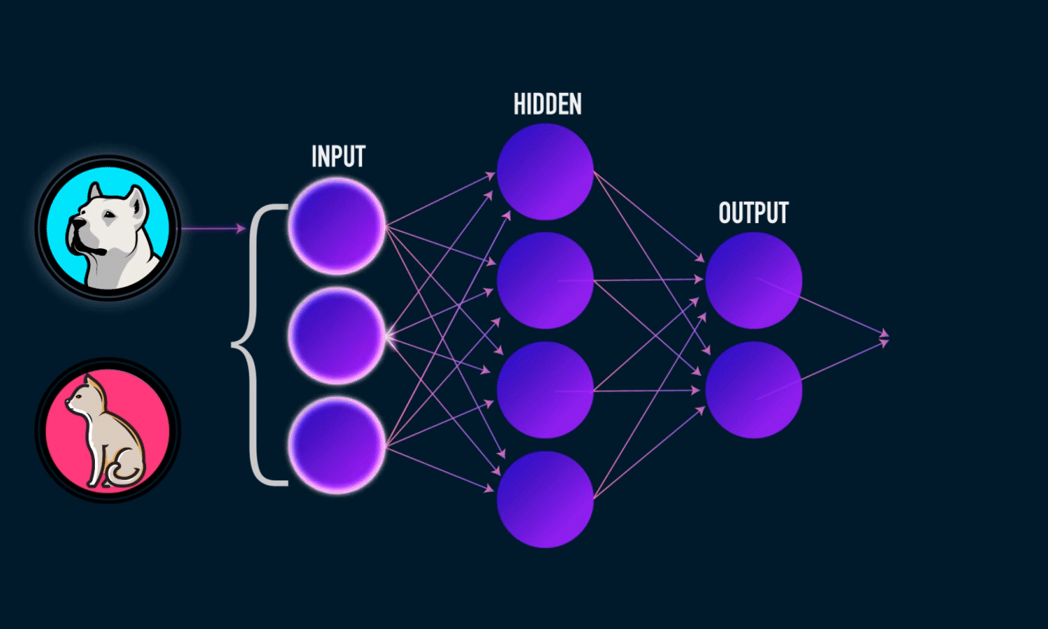 Image of a neural network